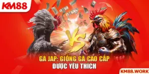 giống gà JAP