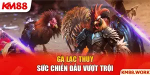 gà lạc thủy