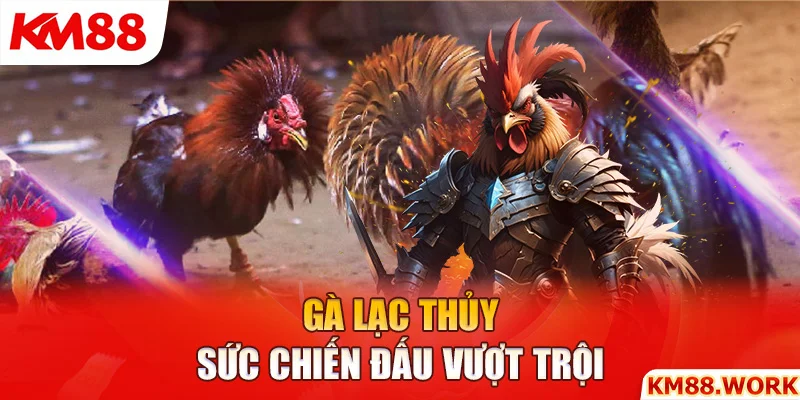 gà lạc thủy