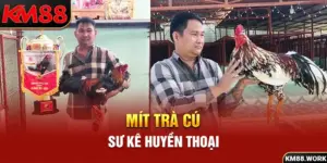 Mít trà Cú sư kê huyền thoại