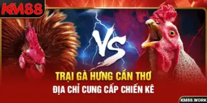 Trại Gà Hưng Cần Thơ