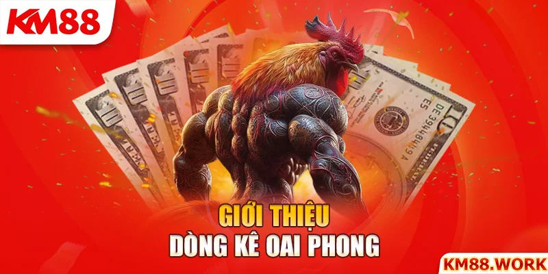 Giới thiệu dòng kê oai phong - gà JAP