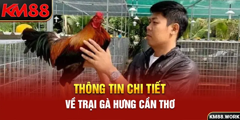 Review chi tiết về trại gà Hưng Cần Thơ