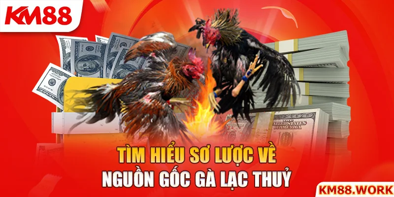 Gà Lạc Thuỷ và một số thông tin cần biết