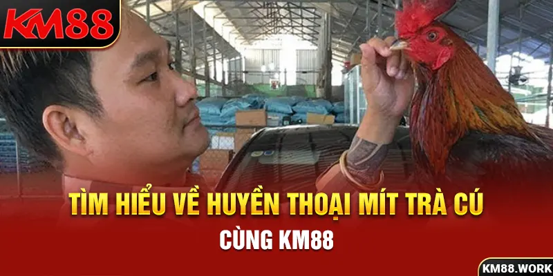 Cùng nhà cái KM88 tìm hiểu chi tiết về Mít Trà Cú 