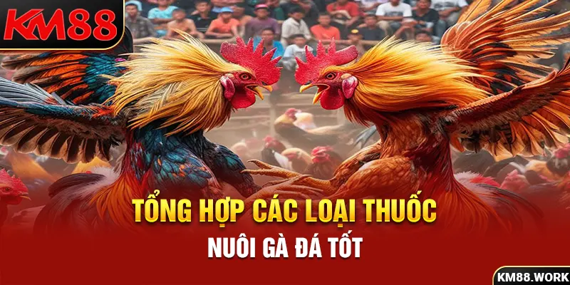 Bật mí các loại thuốc nuôi gà đá cần thiết cho chiến kê