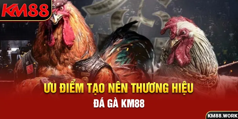 Ưu điểm tạo nên thương hiệu của đá gà online KM88