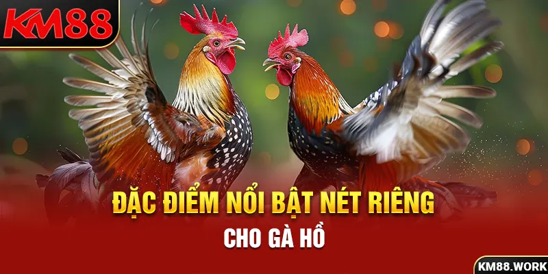 Các đặc điểm nổi bật làm nên nét riêng cho gà Hồ