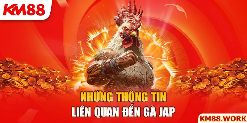 Tìm hiểu về tập tính, những thông tin liên quan đến gà giáp