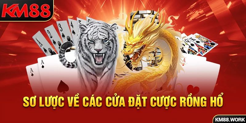 Phổ biến những cửa đặt tiền hợp lệ trong Dragon Tiger