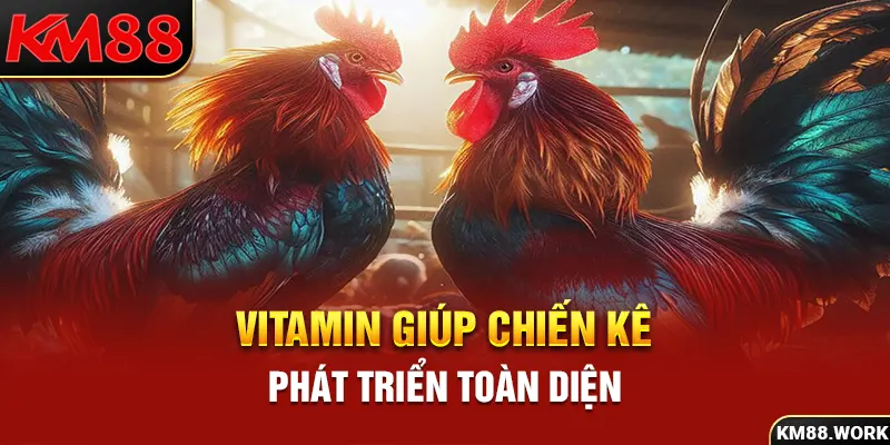 Vitamin giúp chiến kê phát triển một cách toàn diện nhất