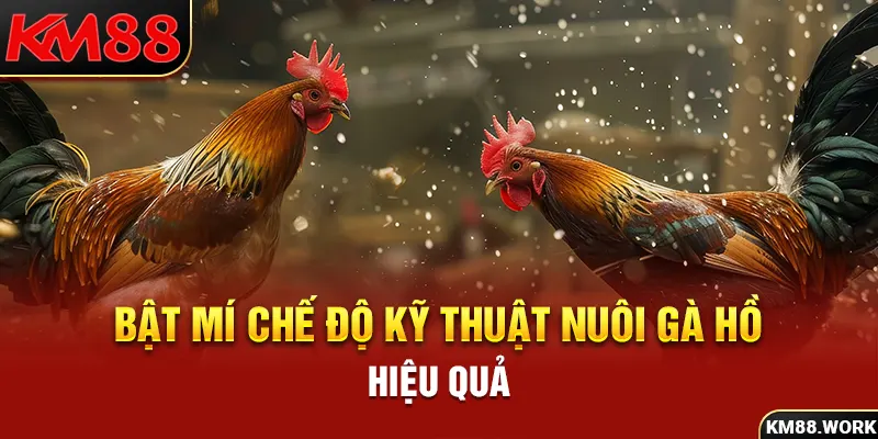 Chuyên gia bật mí các kỹ thuật chăn nuôi hiệu quả