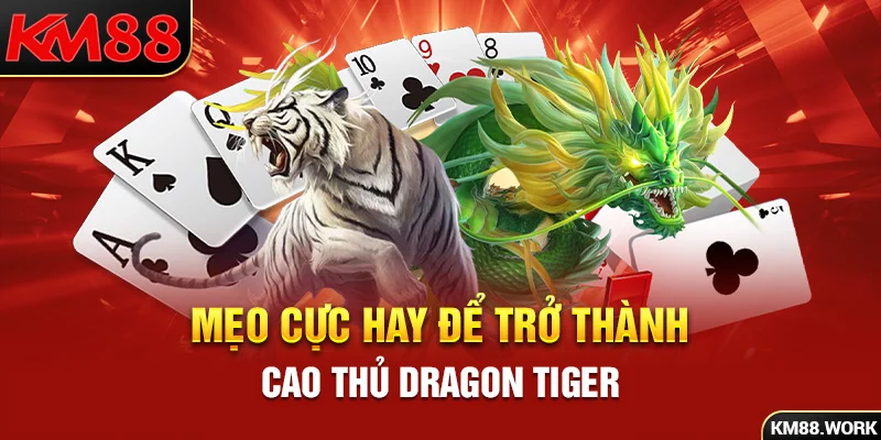 Trở thành cao thủ Dragon Tiger với 3 mẹo cực hay