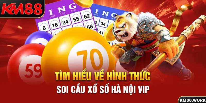 Tìm hiểu về hình thức soi cầu xổ số Hà Nội Vip